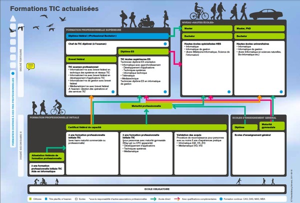 Le chemin de croix de l’apprentissage