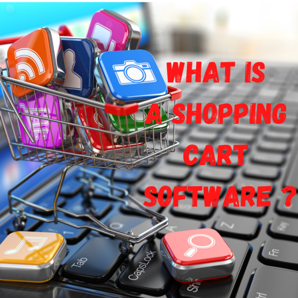 What is a Shopping Cart Software?