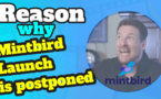Mintbird launch postponed to the end of the month of August 2021